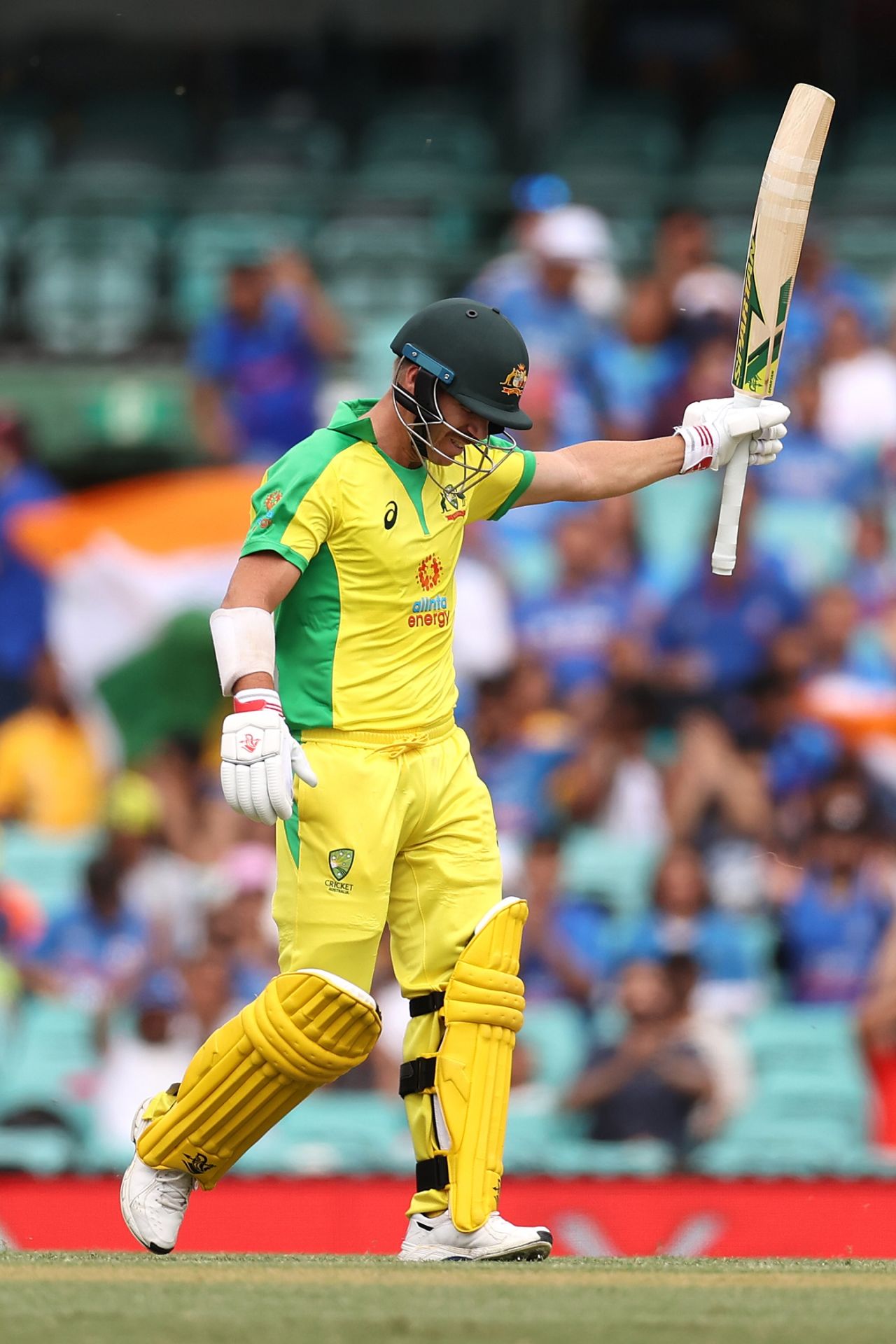 David Warner raised an attacking fifty at the top of the order, Sydney, Australia vs India, 2nd ODI, November 29, 2020