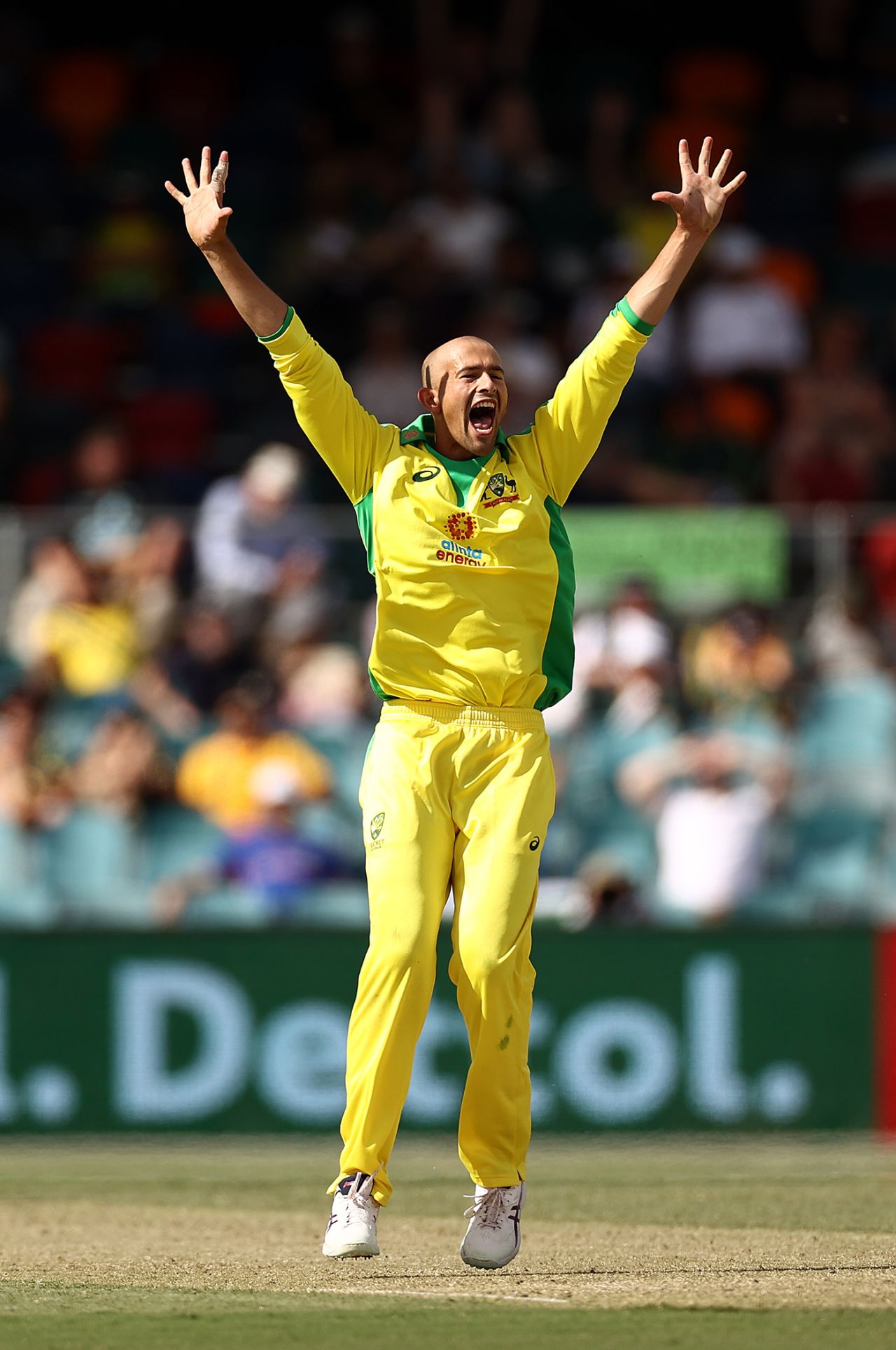 Ashton Agar goes up in appeal, Australia vs India, 3rd ODI, Canberra, December 2, 2020