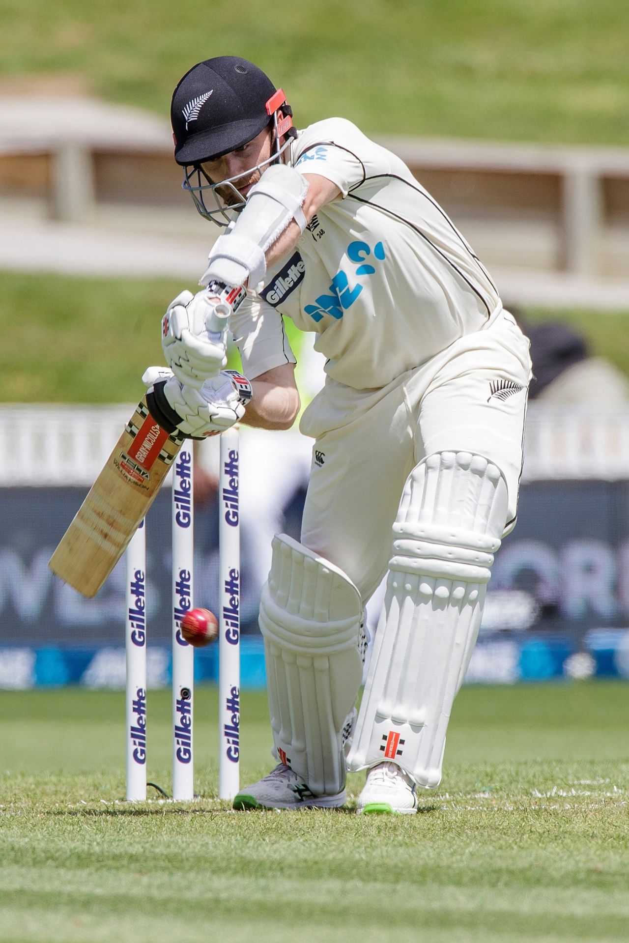 Kane Williamson shapes to drive, New Zealand vs West Indies, 1st Test, Hamilton, 1st day, December 3, 2020 