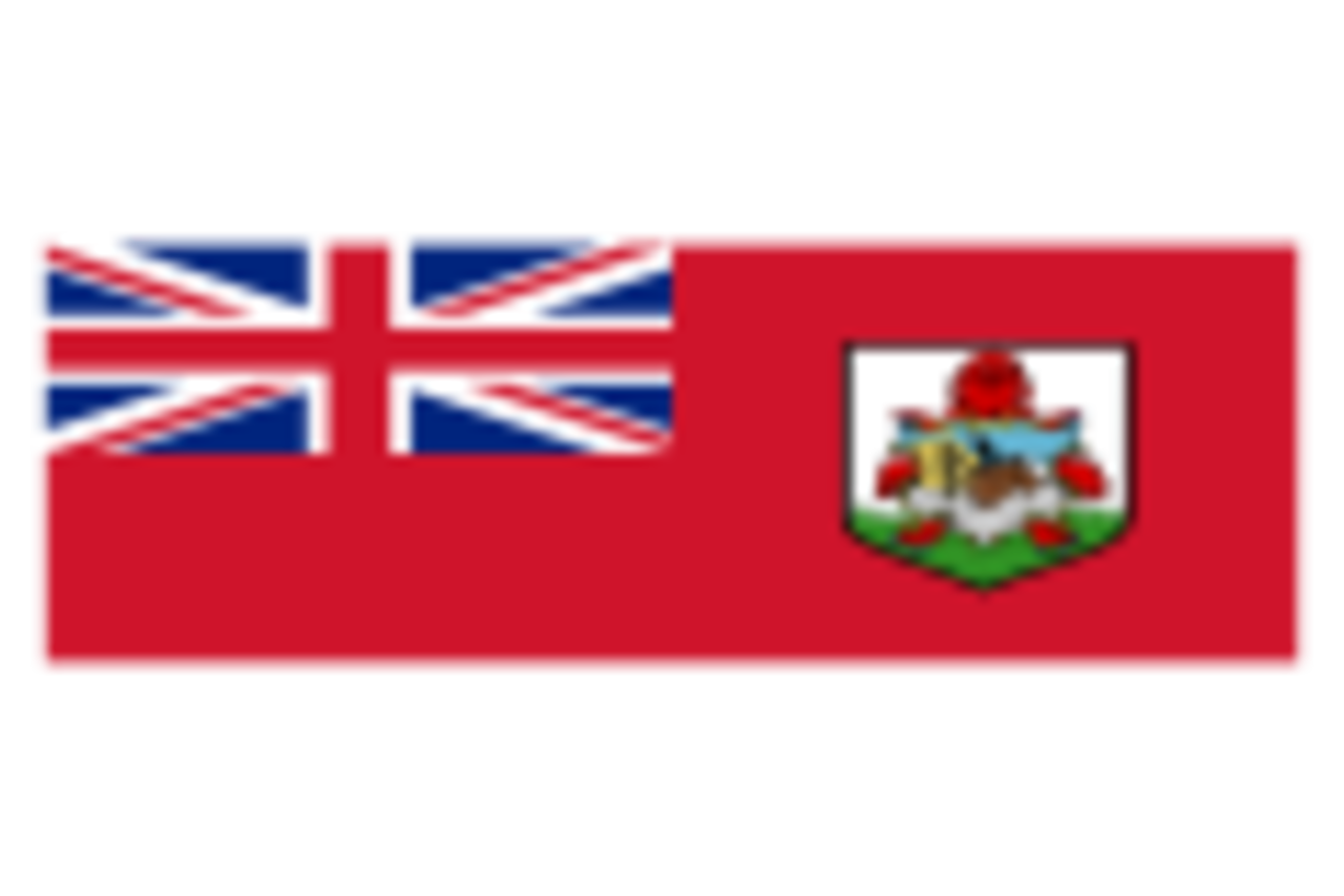 Bermuda logo
