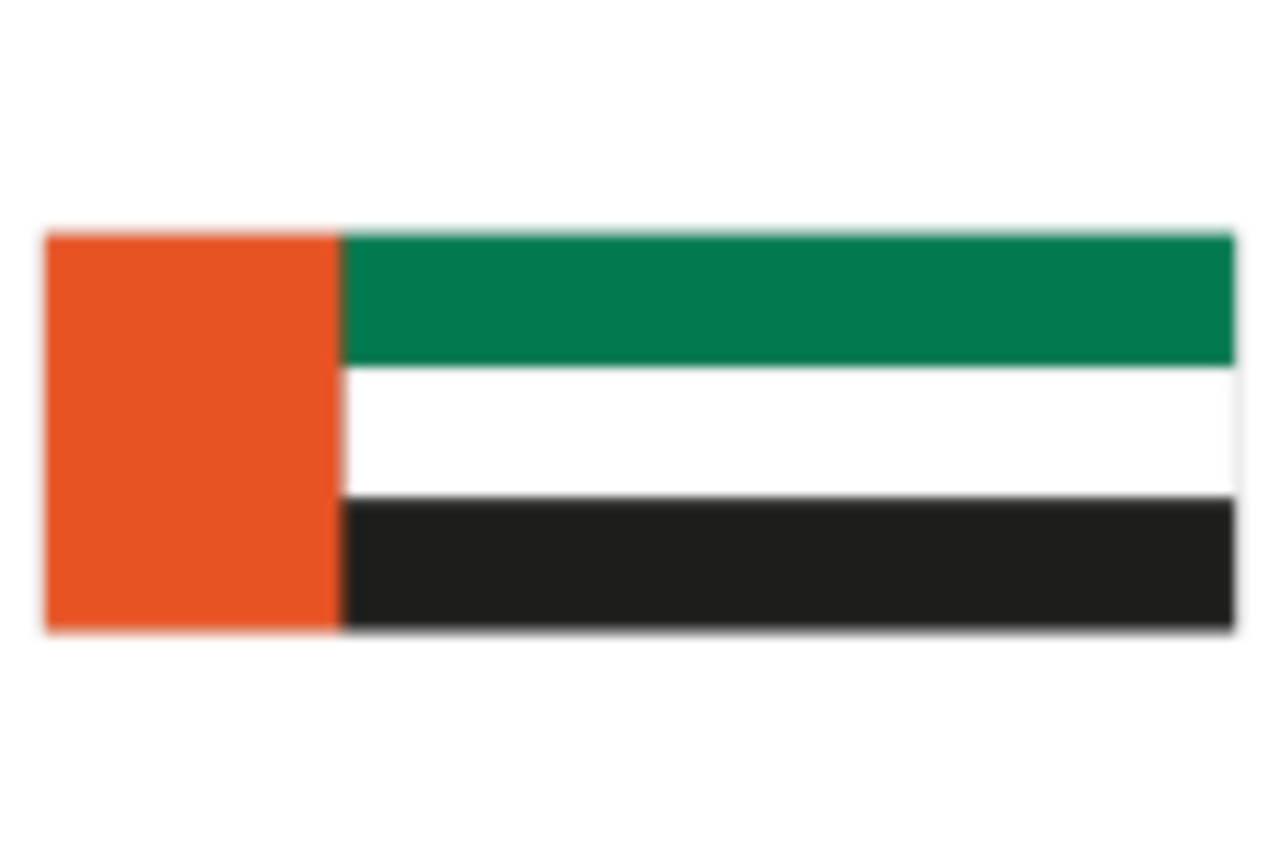United Arab Emirates logo