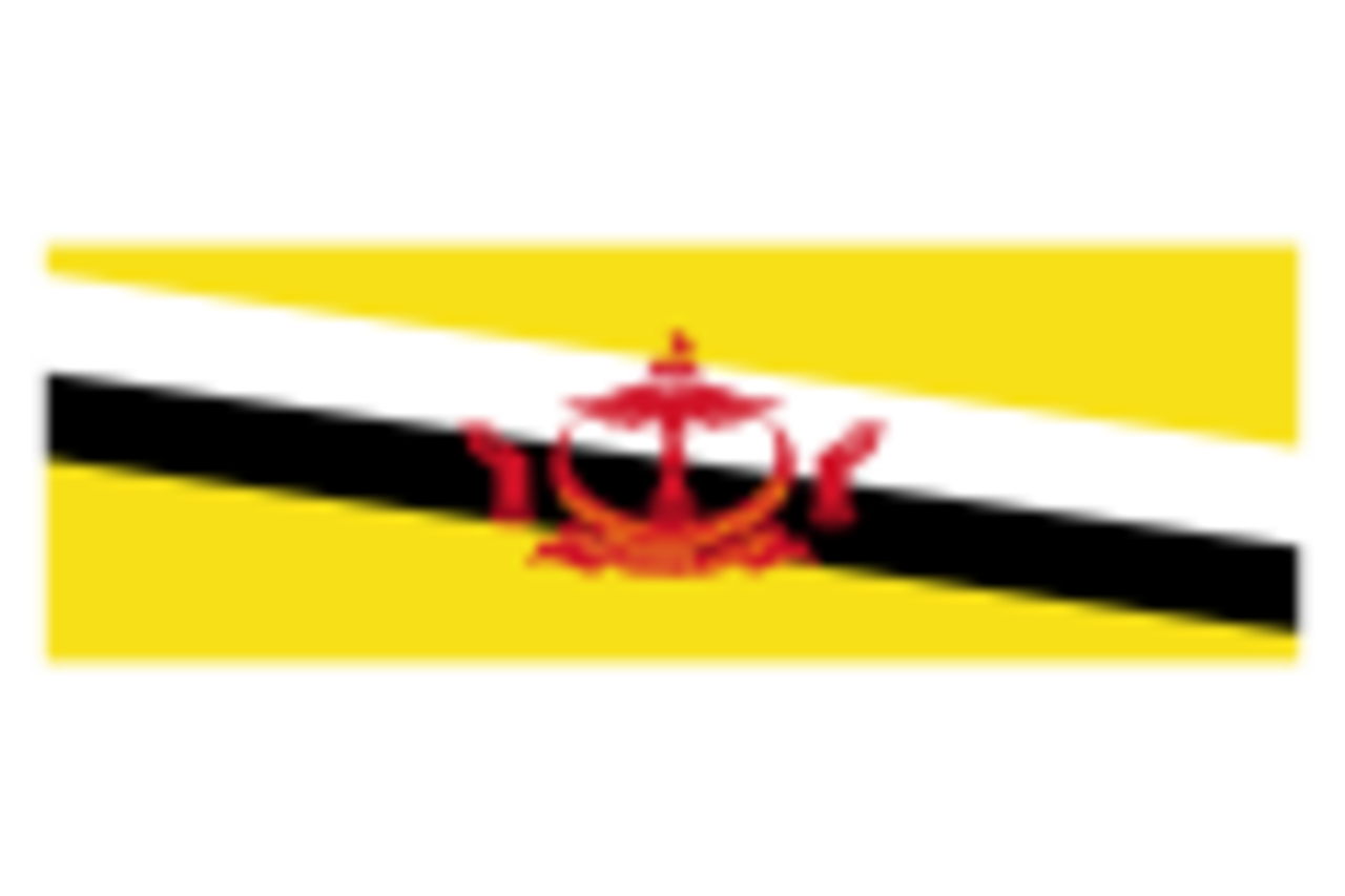 Brunei logo