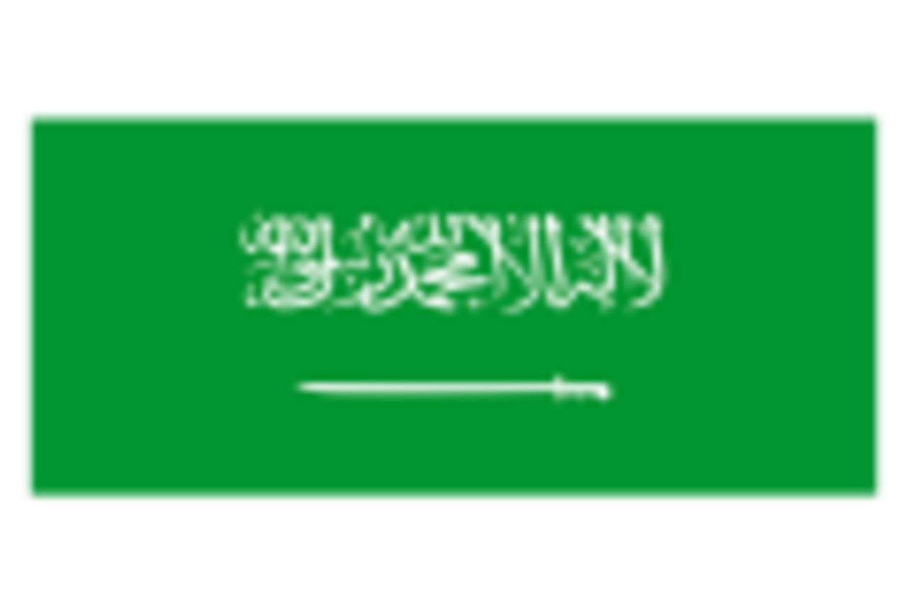 Saudi Arabia logo