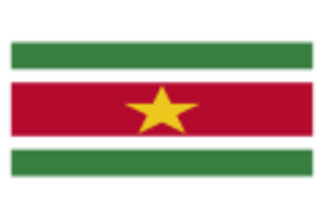 Suriname logo
