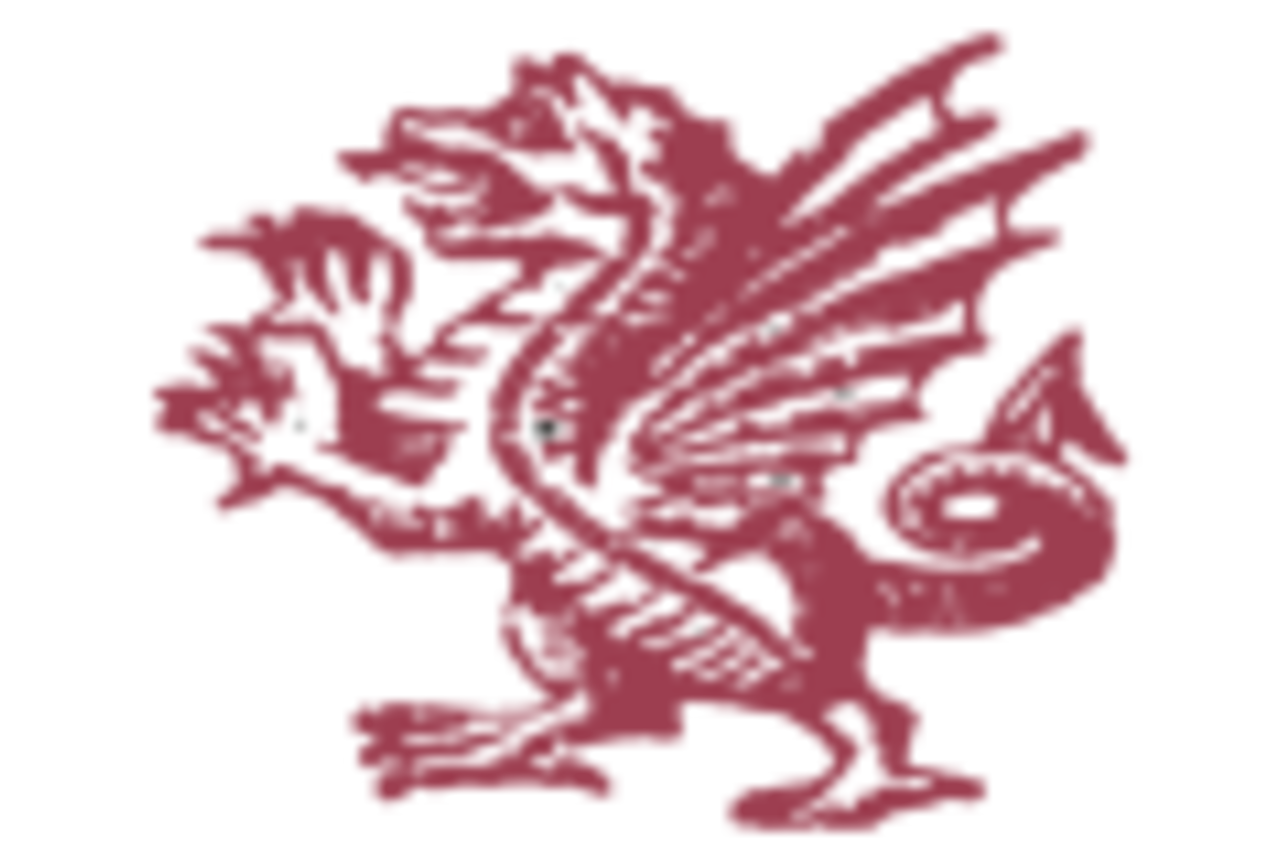 Somerset logo