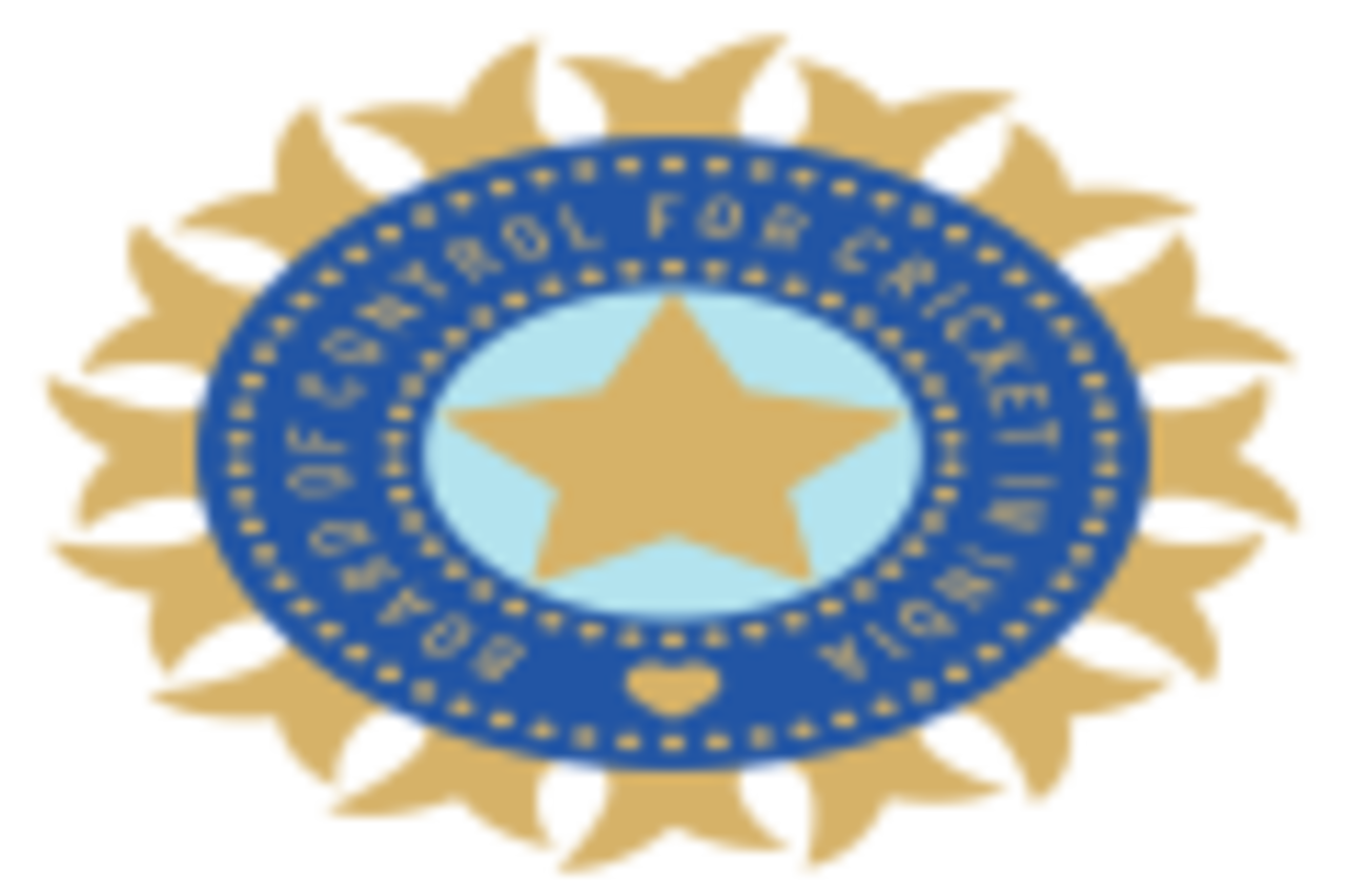 India Blue logo