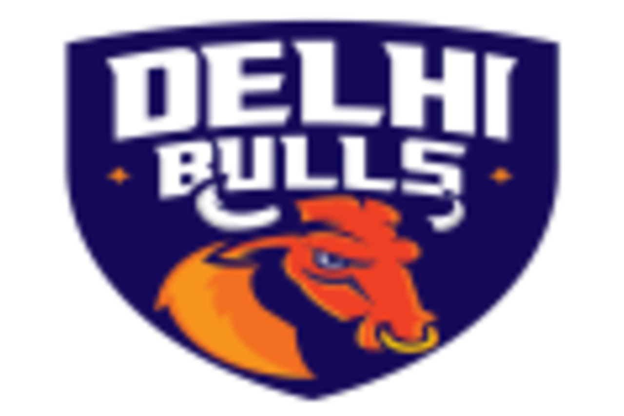 Delhi Bulls logo