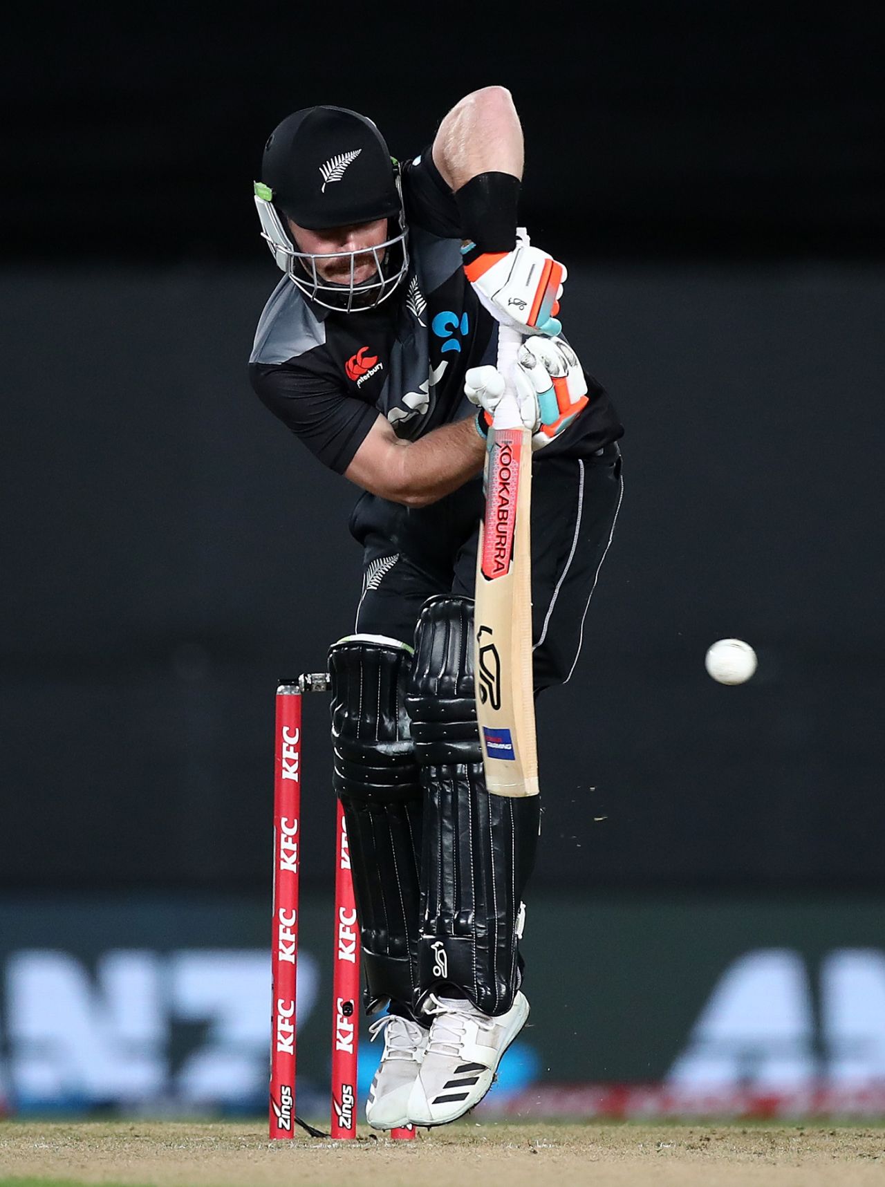 Tim Seifert flicks, New Zealand vs West Indies, 1st T20I, Auckland, November 27, 2020