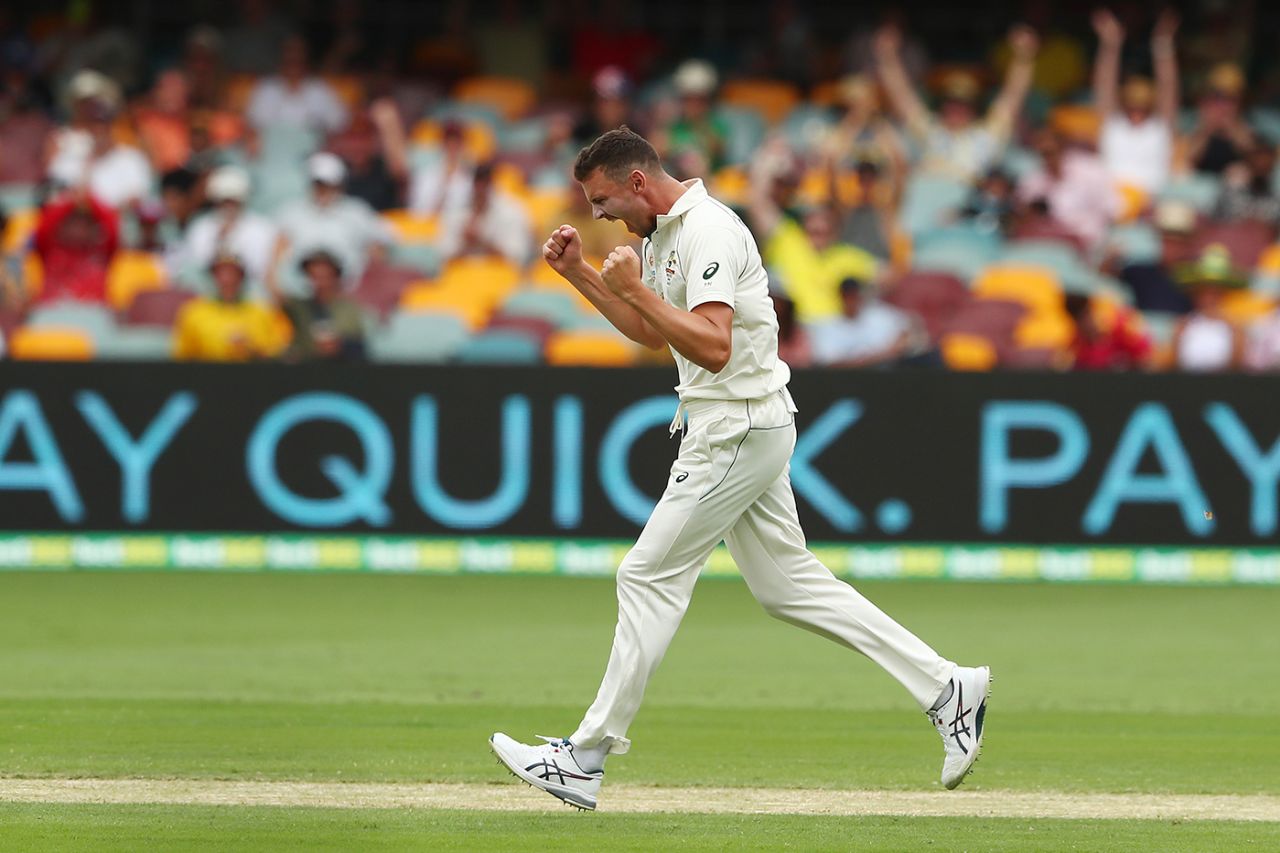 Josh Hazlewood is jubilant after dismissing Mayank Agarwal, Australia vs India, 4th Test, Brisbane, 3rd day, January 17, 2021