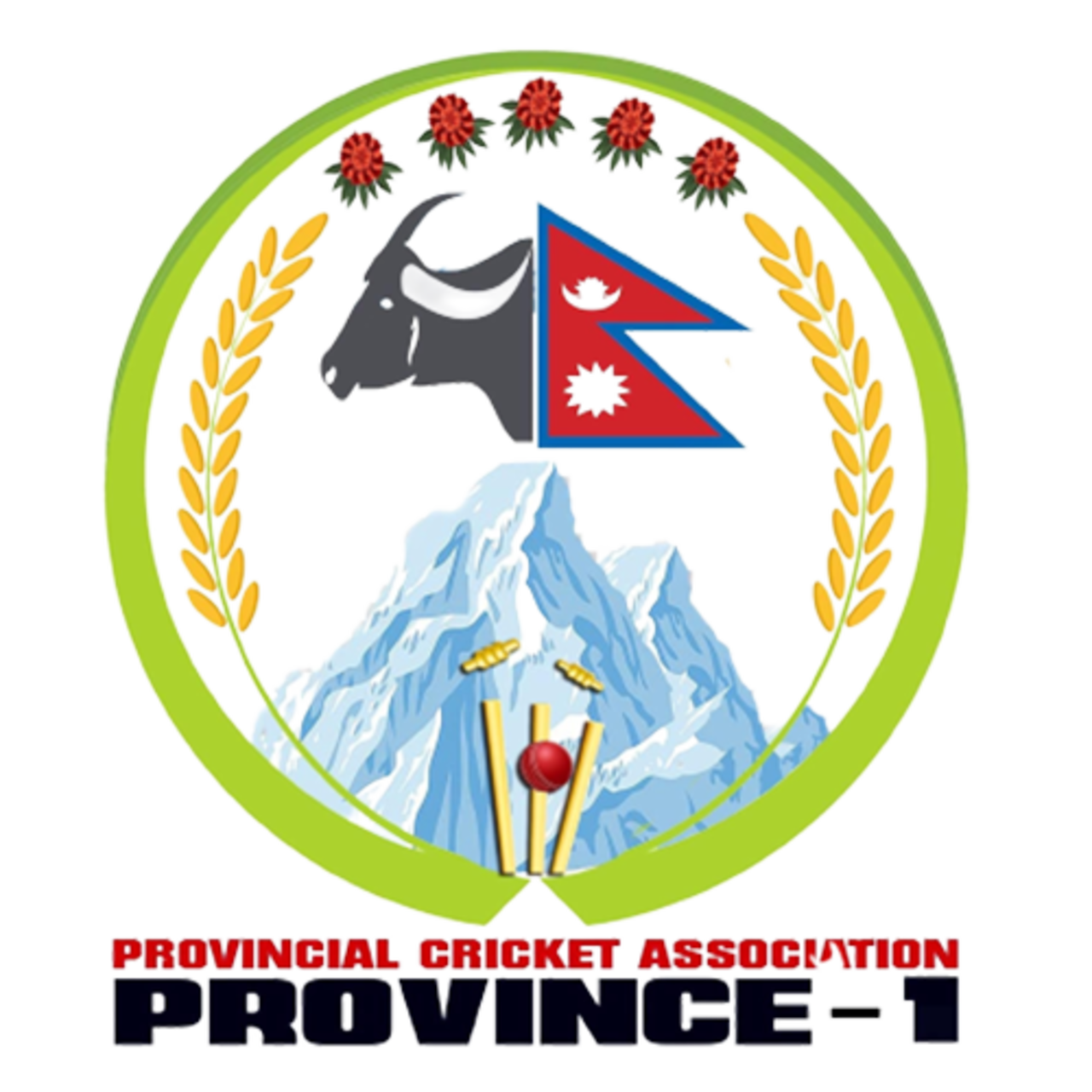 Provincial Cricket Association