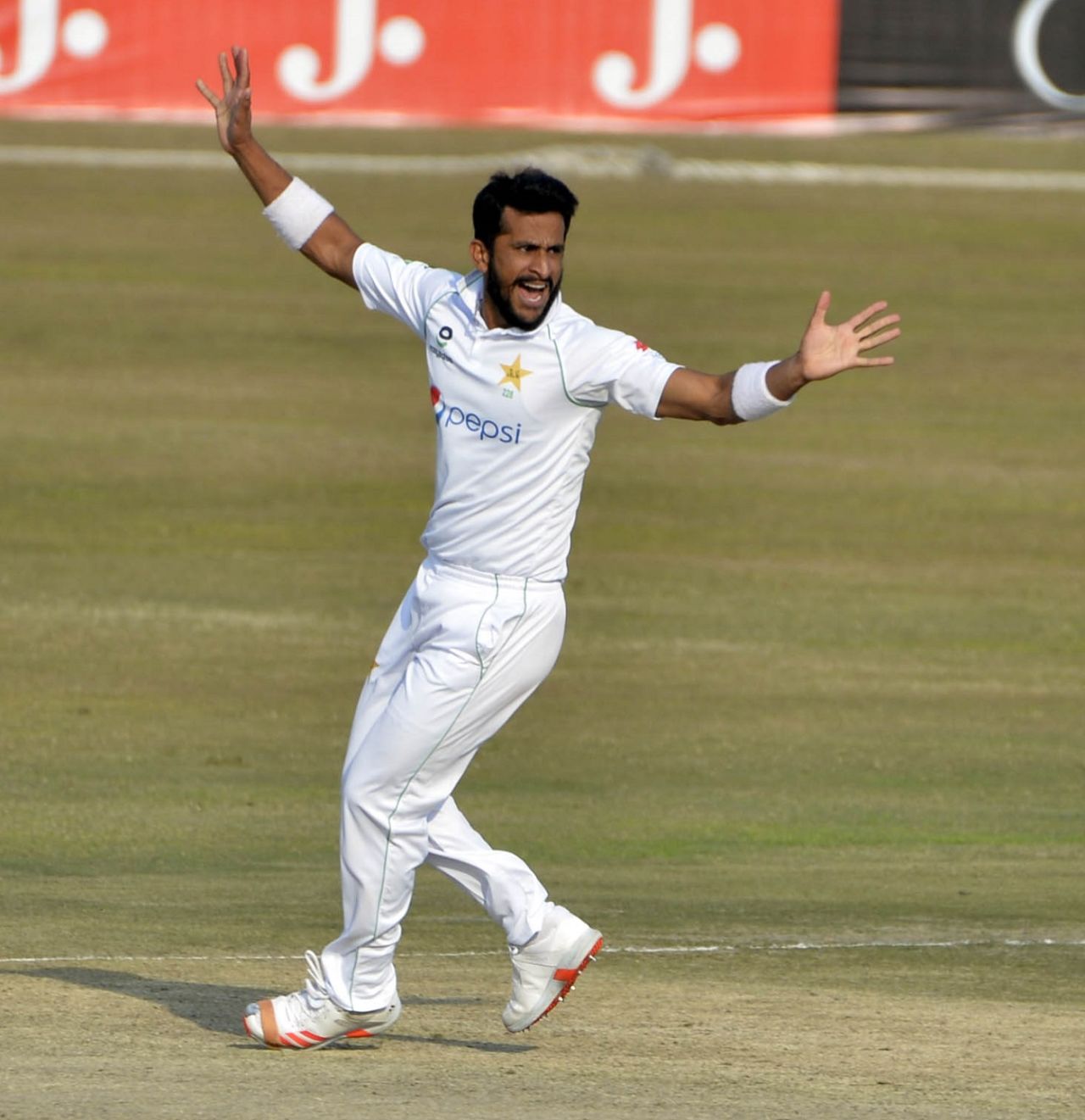 Hasan Ali goes up in appeal, Pakistan vs South Africa, 2nd Test, Rawalpindi, 2nd day, February 5, 2021