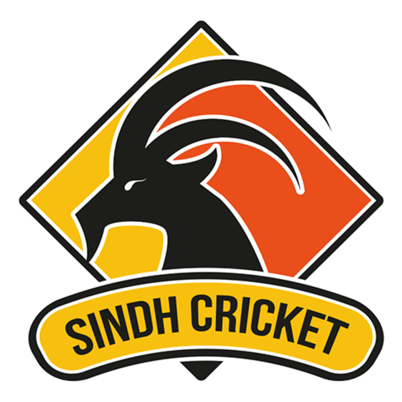 Sindh team logo