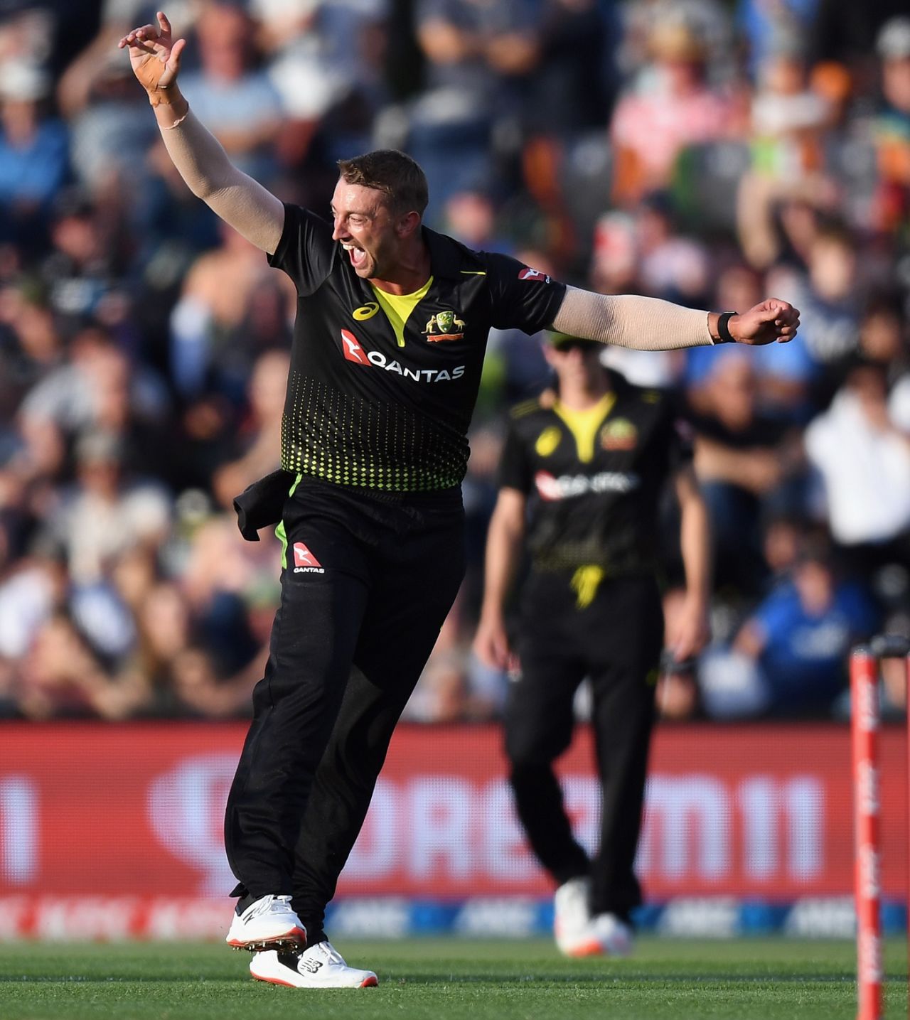 Daniel Sams is thrilled after sending back Kane Williamson, New Zealand vs Australia, 1st T20I, Christchurch, February 22, 2021