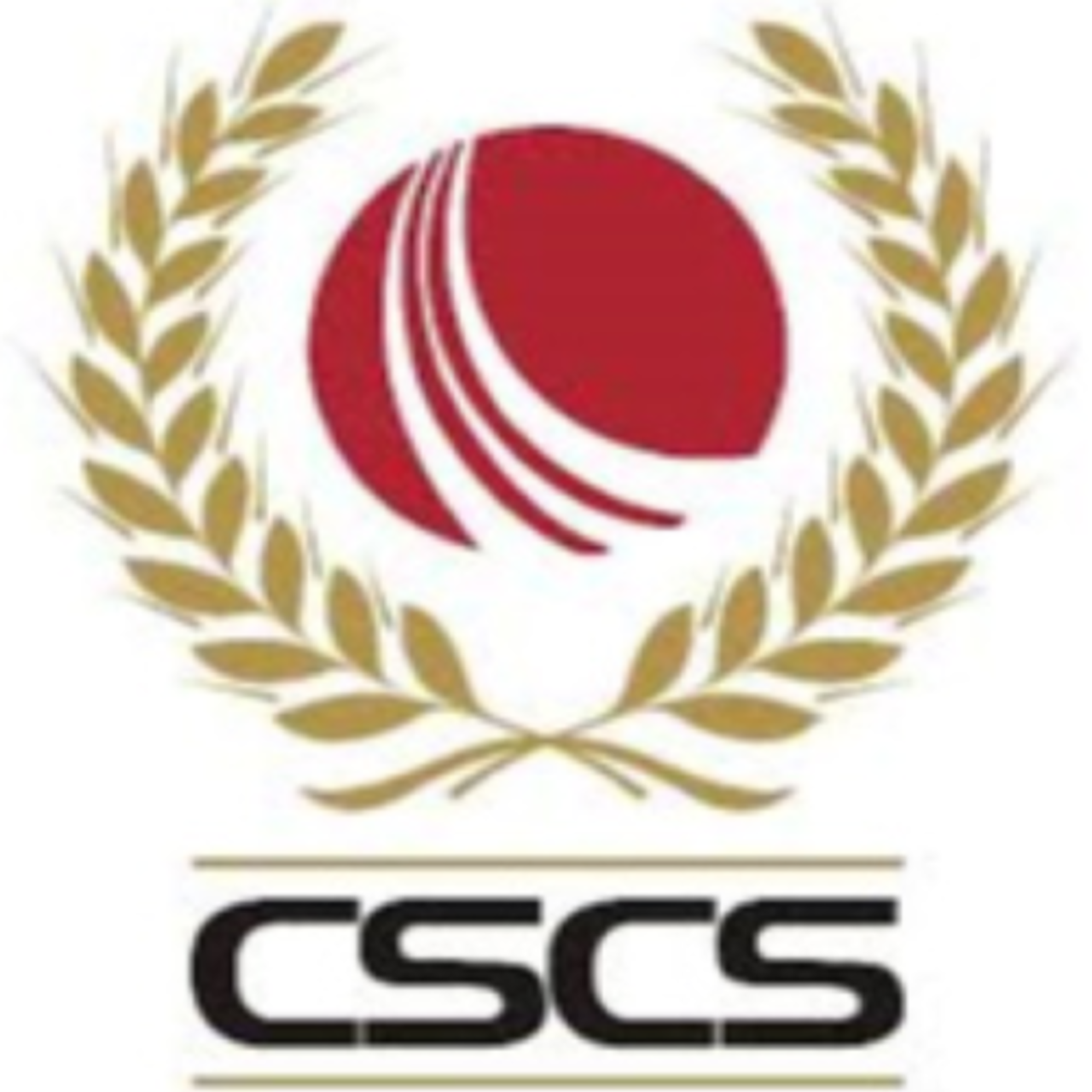 Chattisgarh team logo