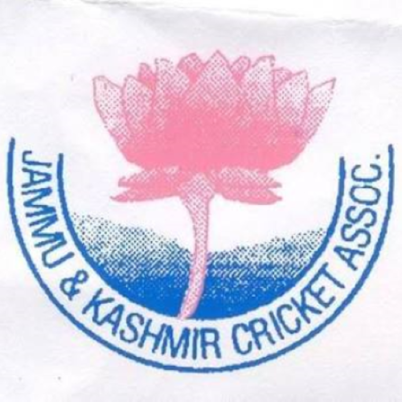 Jammu and Kashmir team logo