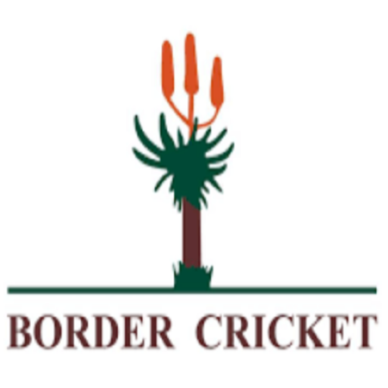 border cricket logo