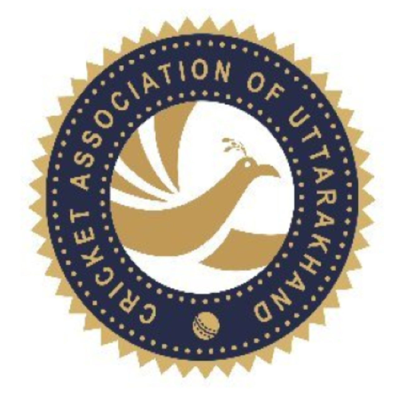 Uttarakhand team logo