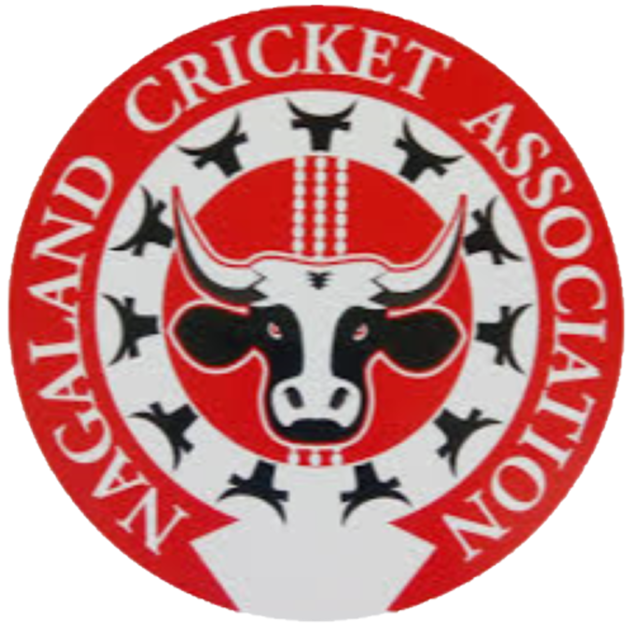 Nagaland team logo