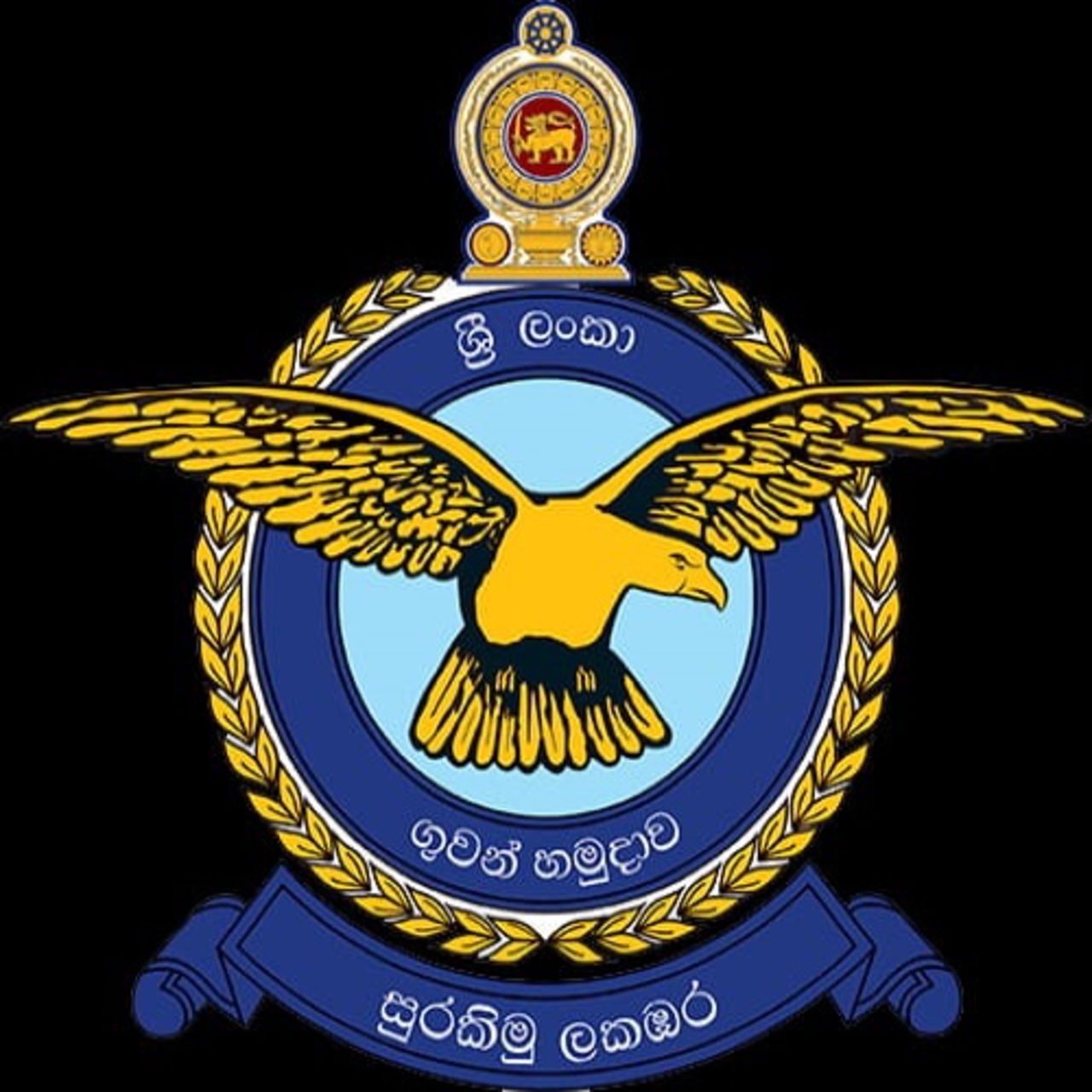Sri Lanka Air Force cricket club team logo