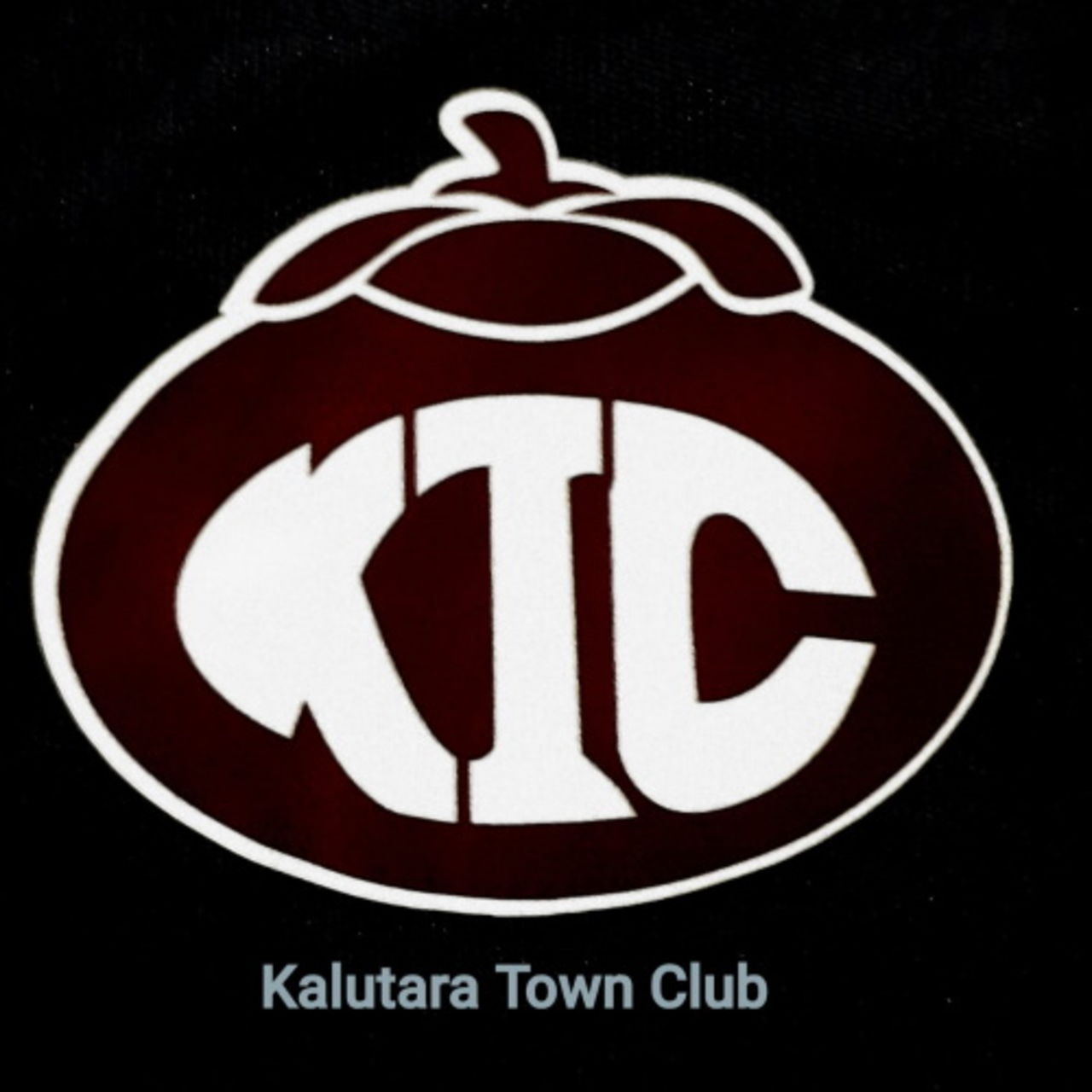 Kalatura team logo