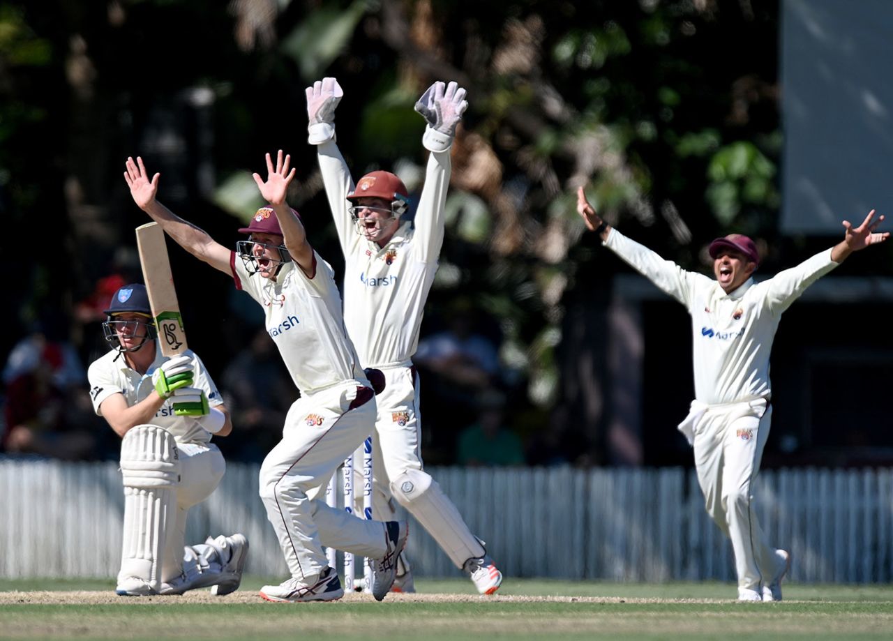 Queensland appeal for the wicket of Baxter Holt, Queensland vs New South Wales, Sheffield Shield final, Allan Border Field, April 18, 2021