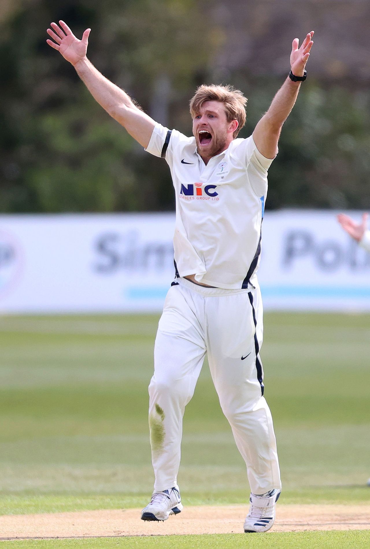 David Willey appeals for a wicket, LV= Insurance County Championship, Kent vs Yorkshire, Canterbury, April 16, 2021