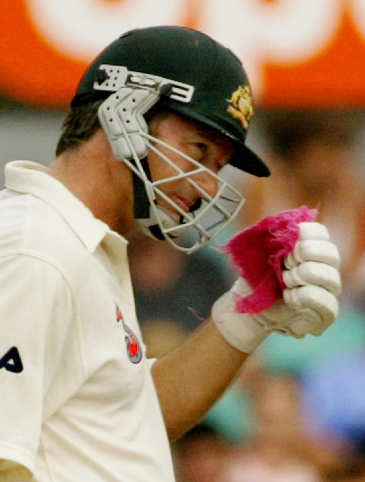 The famous red rag came out and Steve Waugh dug deep for one last time, Australia v India, 4th Test, Sydney, 5th day, January 6, 2004