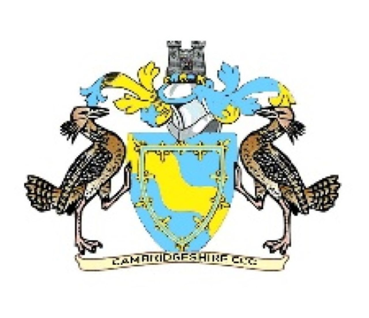 Cambridgeshire cricket team logo