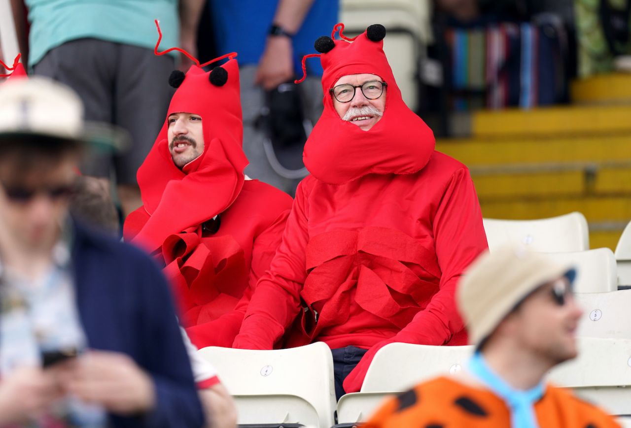 Fans in fancy dress arrived early, England vs New Zealand, 2nd Test, Edgbaston, 3rd day, June 12, 2021