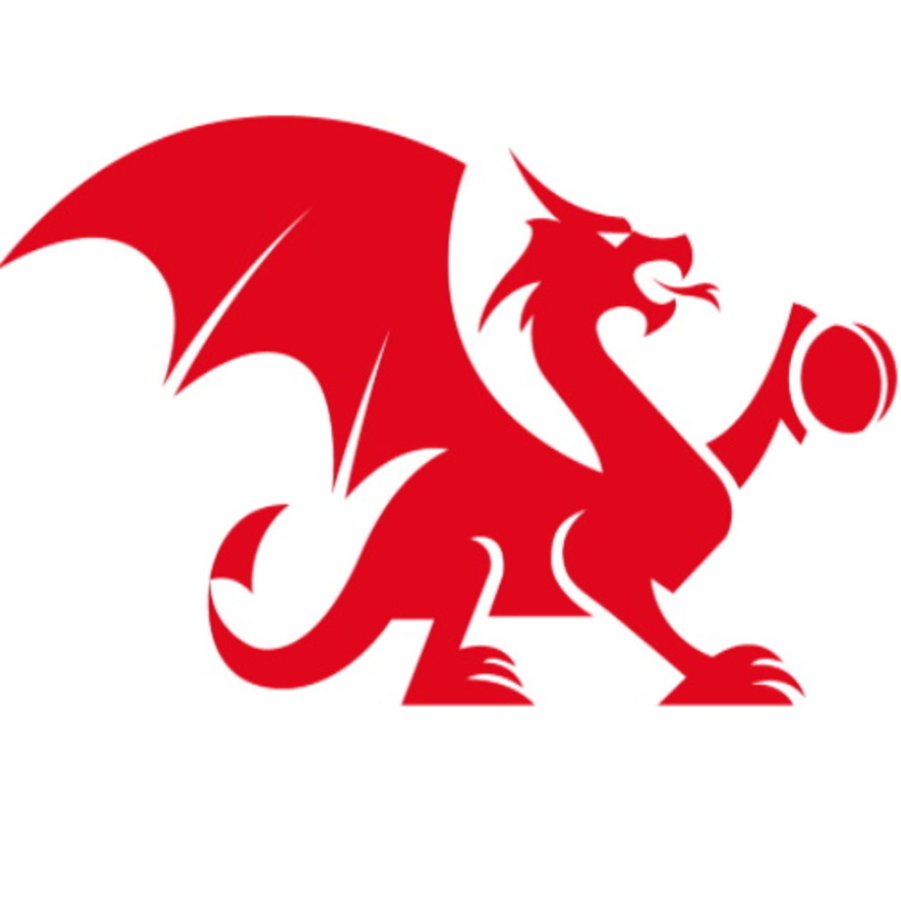Wales National Counties team logo