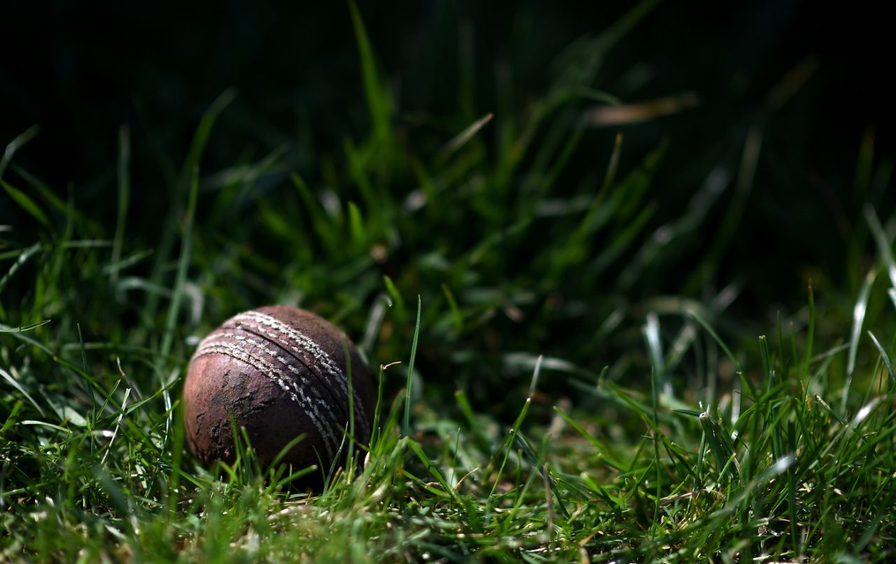 Generic cricket ball