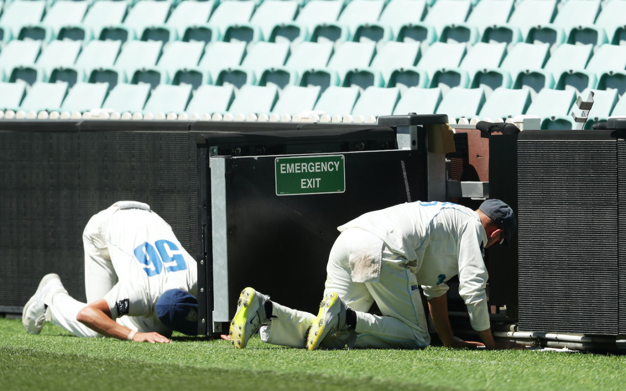 Mitchell Starc and Nathan Lyon look for a lost ball, day three, New South Wales vs Western Australia, Sheffield Shield, Sydney Cricket Ground, November 13, 2019