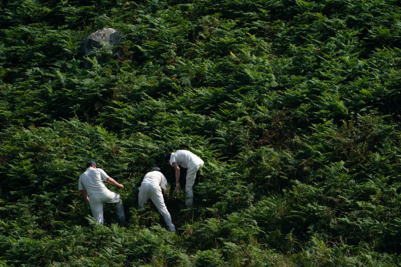 Players at Lynton and Lynmouth Cricket club all join in to look for a lost cricket ball in the ferns surrounding the pitch, August 9, 2020