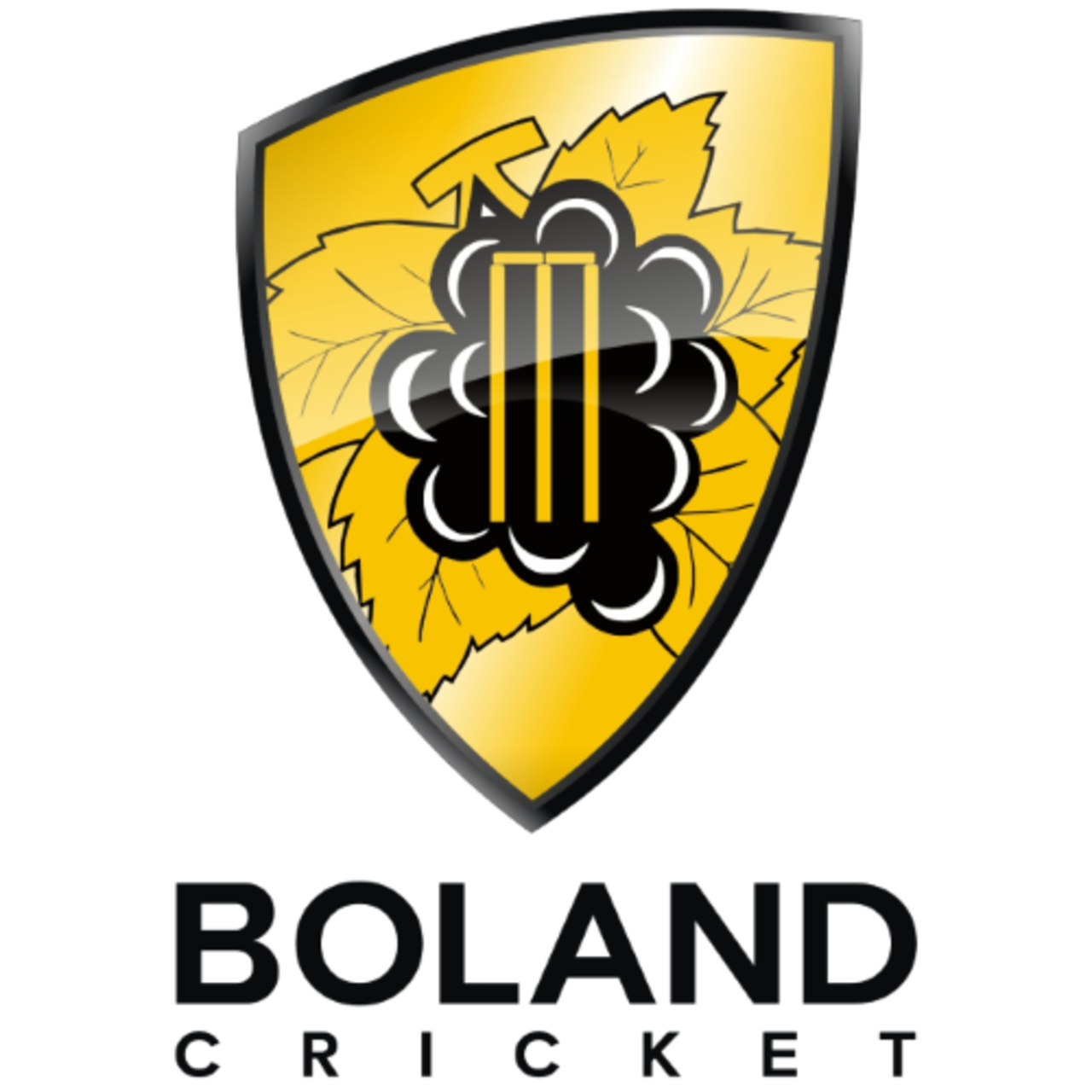 Boland Cricket team logo