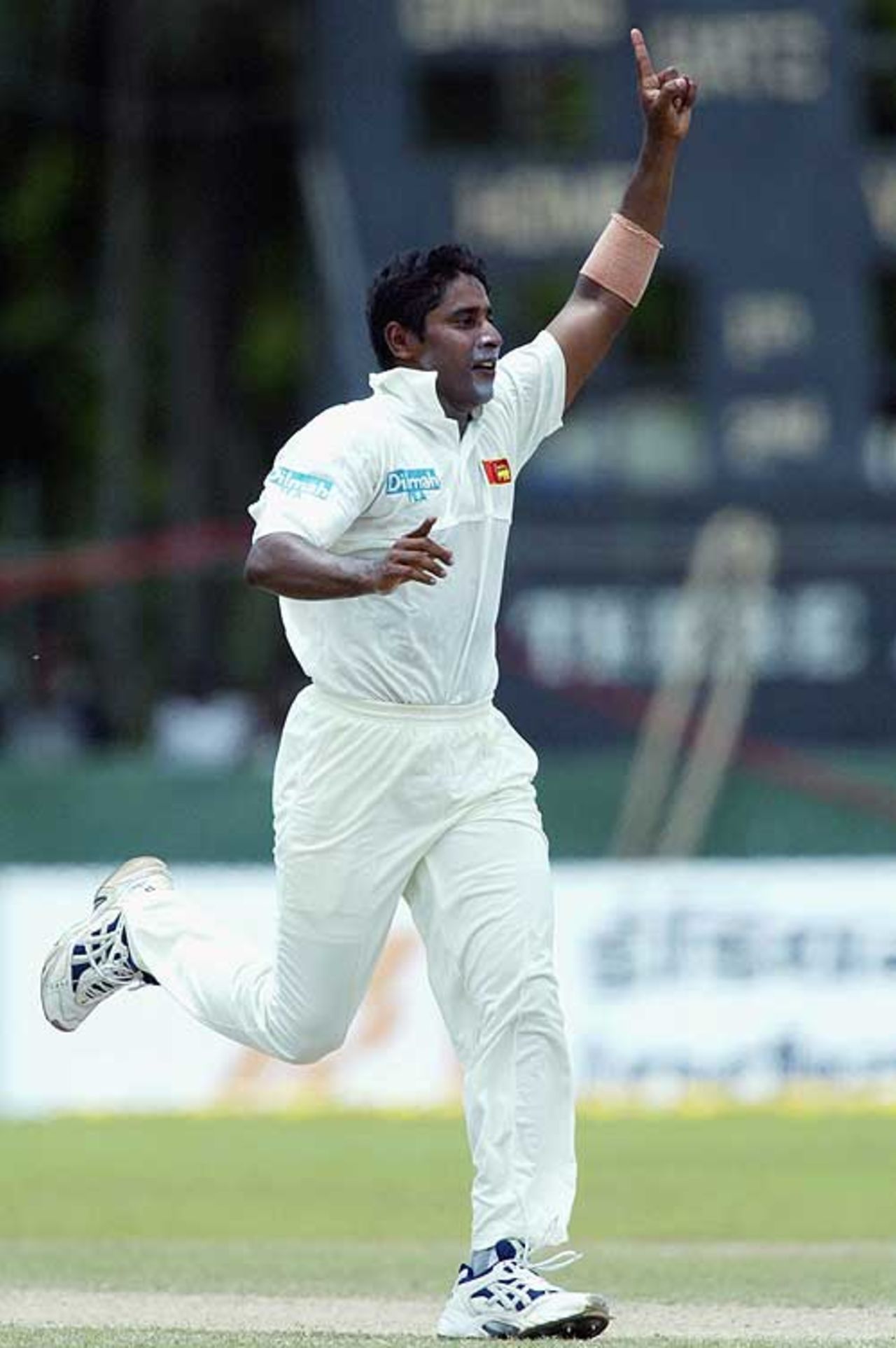Chaminda Vaas celebrates a wicket, Sri Lanka v South Africa, 2nd Test, 4th day, Colombo, August 14, 2004