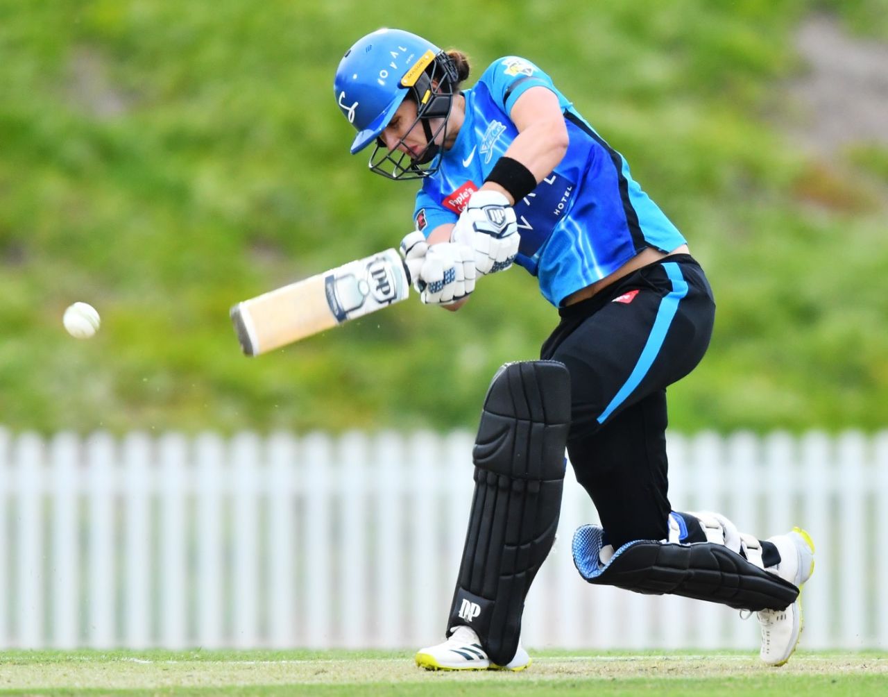 Laura Wolvaardt on her way to a half-century, Adelaide Strikers vs Sydney Thunder, WBBL 2021-22, Adelaide, November 9, 2021