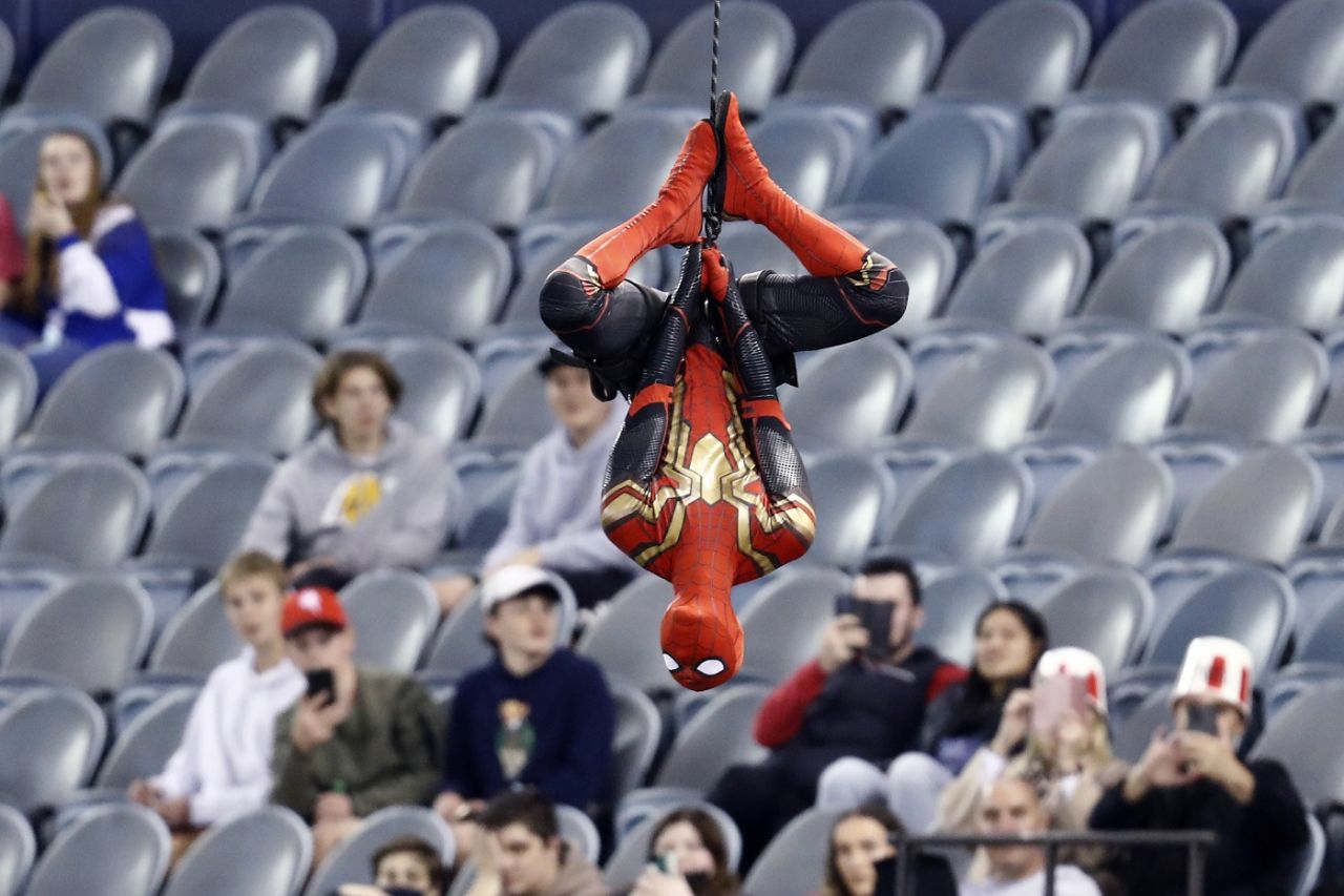 Spider-cam? A webbed spectator had a unique view of proceedings, Melbourne Renegades vs Adelaide Strikers, BBL 2021, Melbourne, December 7, 2021