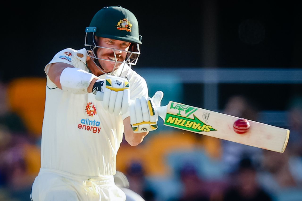 David Warner middles the ball Australia vs India, 4th Test, Brisbane, 4th day, January 18, 2021