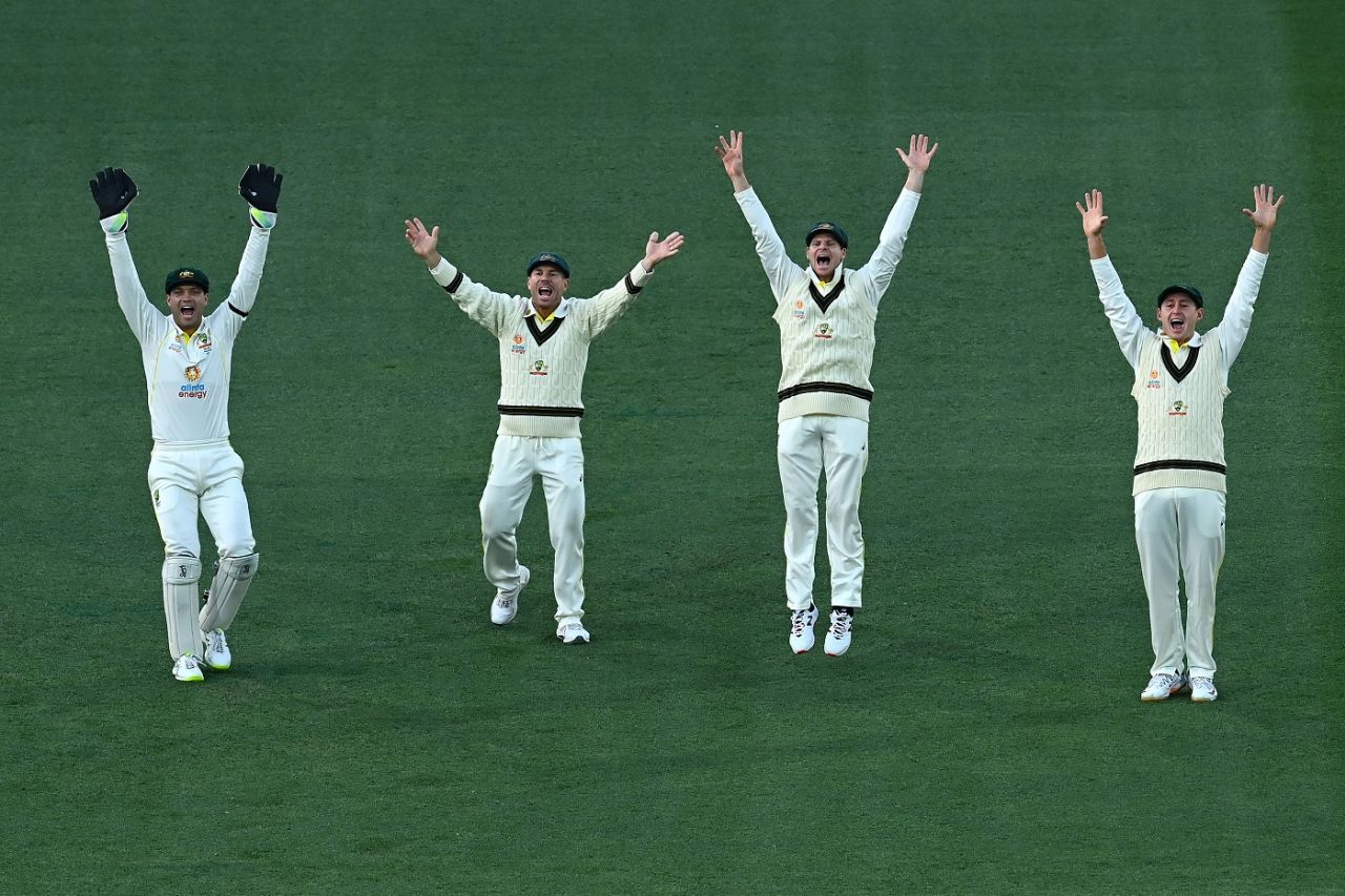 Alex Carey, David Warner, Steven Smith and Marnus Labuschagne go up in unison, Australia vs England, 2nd Test, The Ashes, Adelaide, 4th day, December 19, 2021