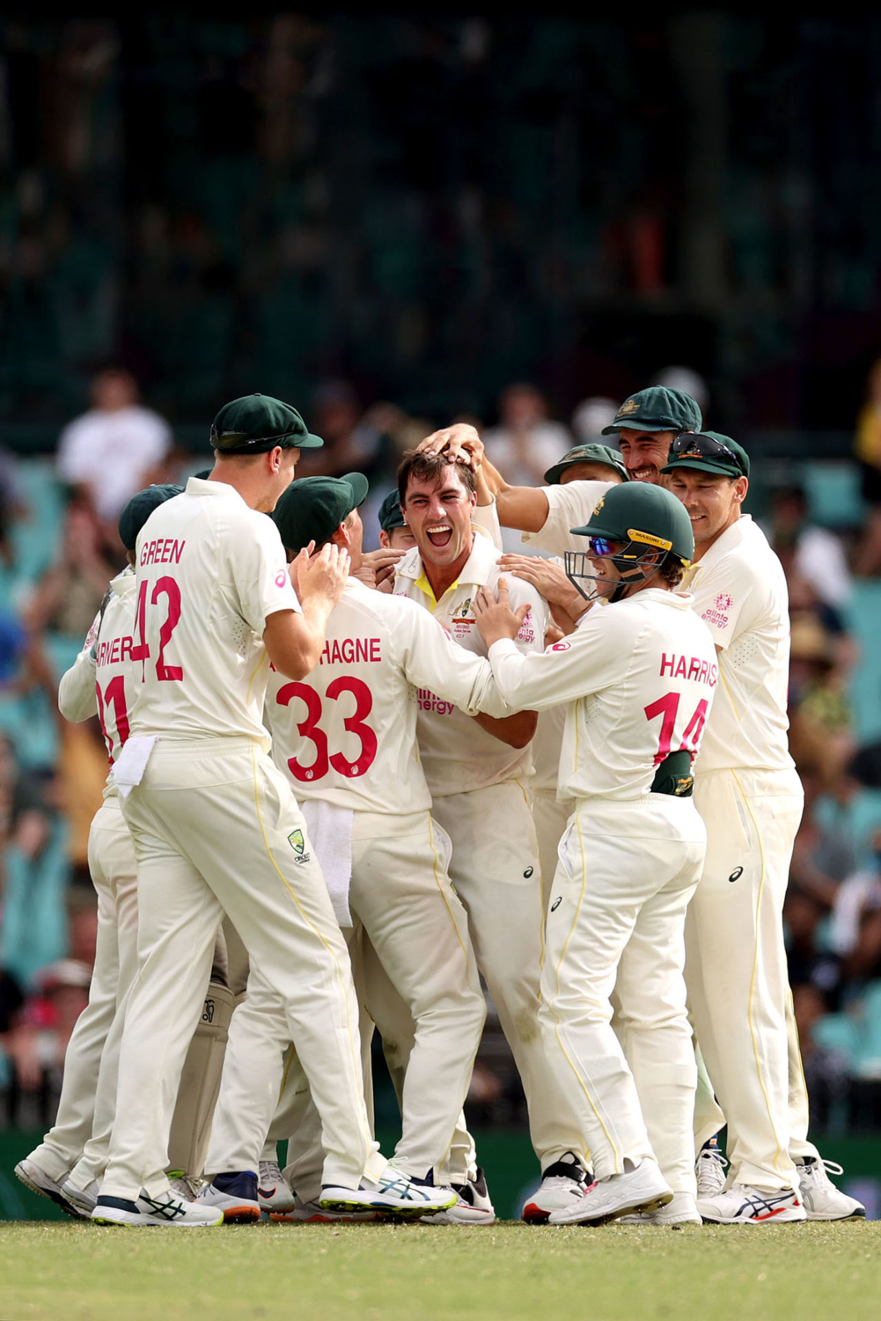 Pat Cummins is mobbed by his team-mates, Australia vs England, Men's Ashes, 4th Test, 5th day, Sydney, January 9, 2022