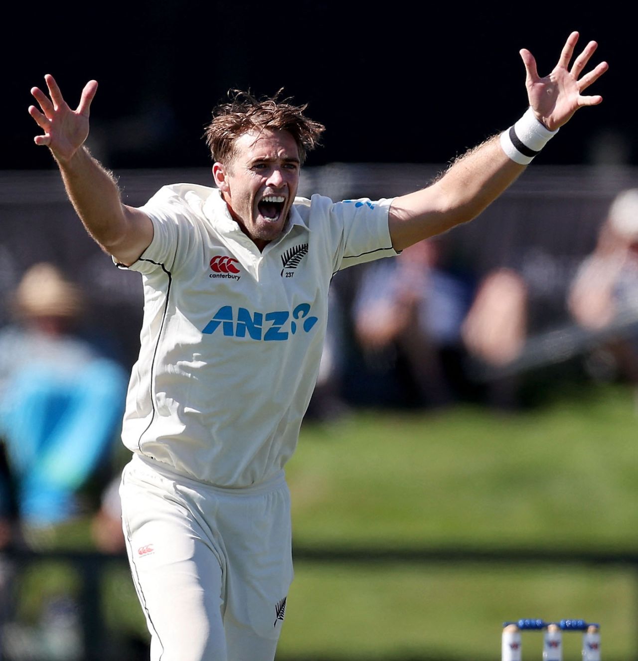 Tim Southee belts out a big appeal, New Zealand vs Bangladesh, 2nd Test, Christchurch, 2nd day, January 10, 2022