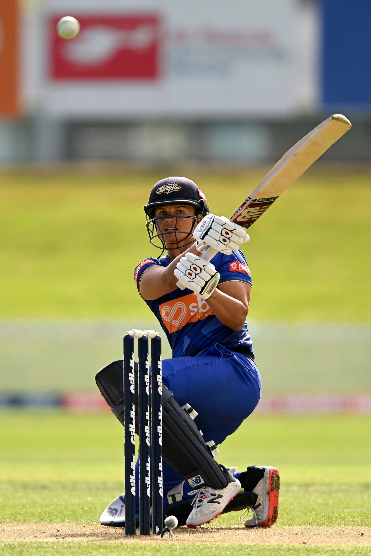 Suzie Bates struck 75 off 62 balls, Otago vs Auckland, Eliminator, Women's Super Smash, Dunedin, January 27, 2022