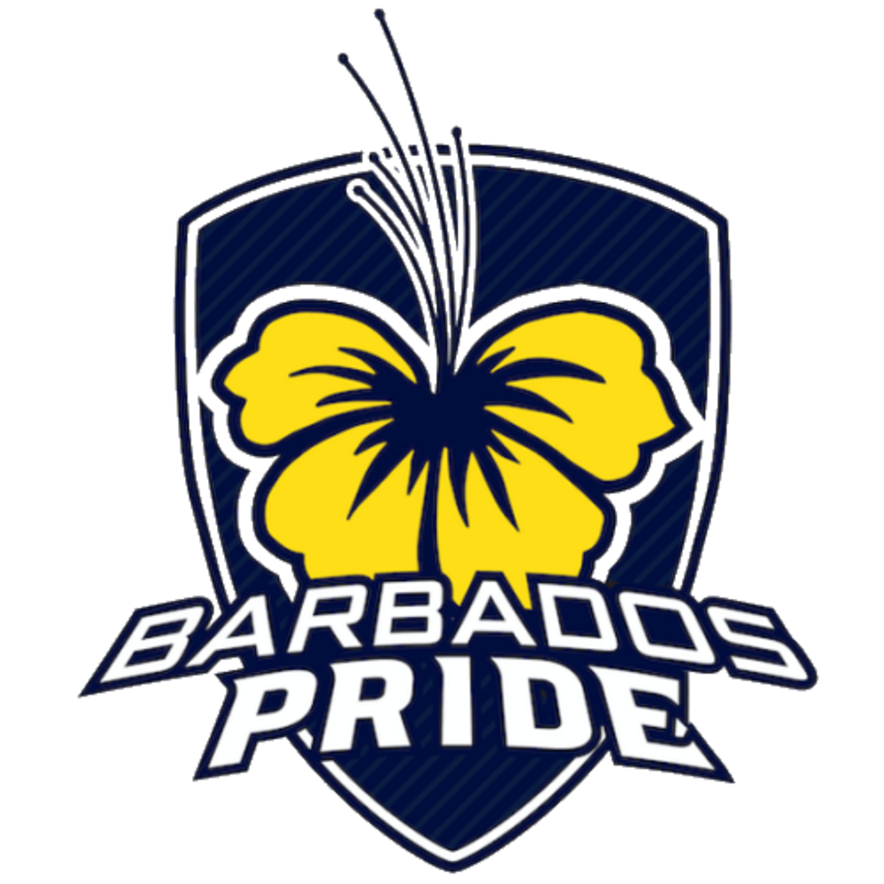 Barbados team logo