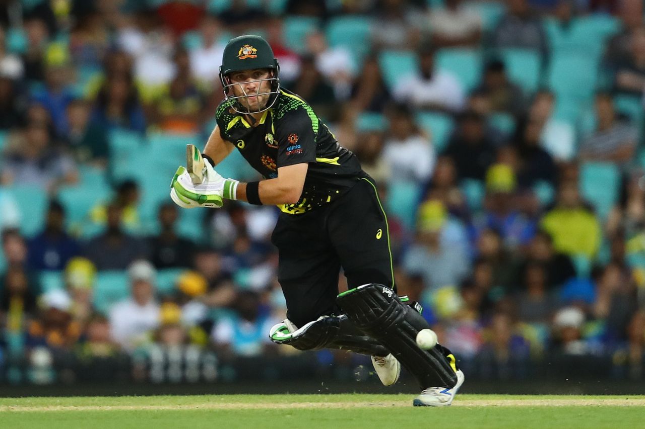 Josh Inglis looks to score, Australia vs Sri Lanka, 2nd T20I, Sydney, February 13, 2022
