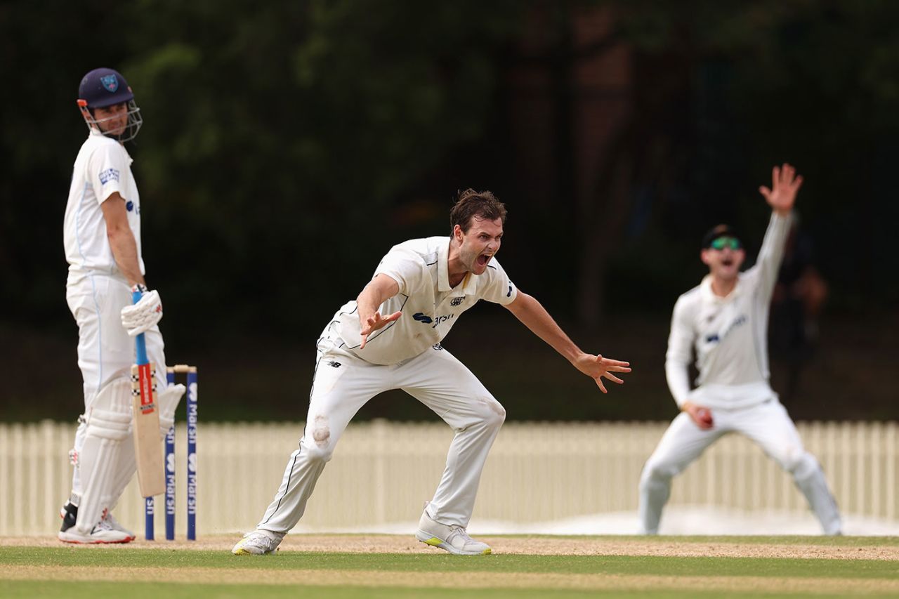 Matt Kelly made swift inroads, New South Wales vs Western Australia, Sheffield Shield, Bankstown Oval, March 17, 2022