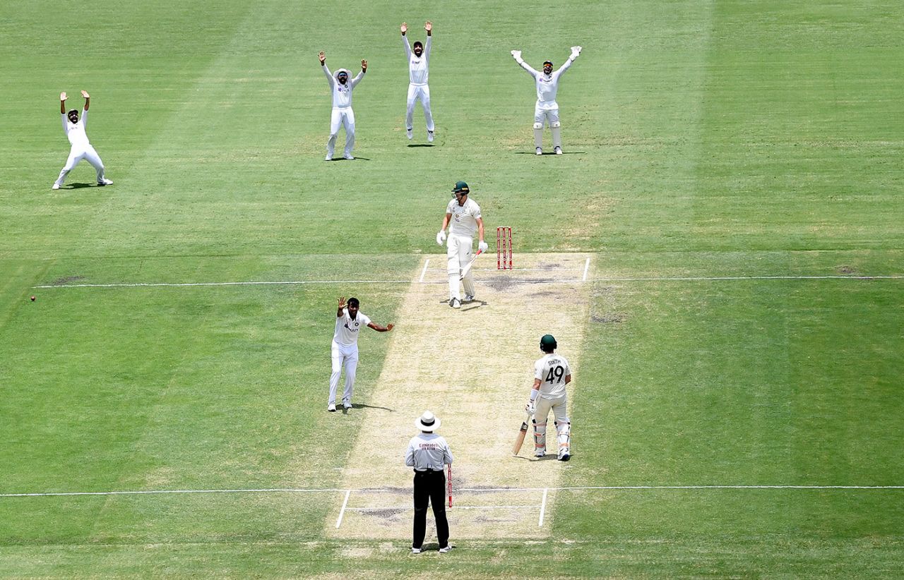 T Natarajan appeals for a wicket, Australia vs India, 4th Test, Brisbane, 4th day, January 18, 2021