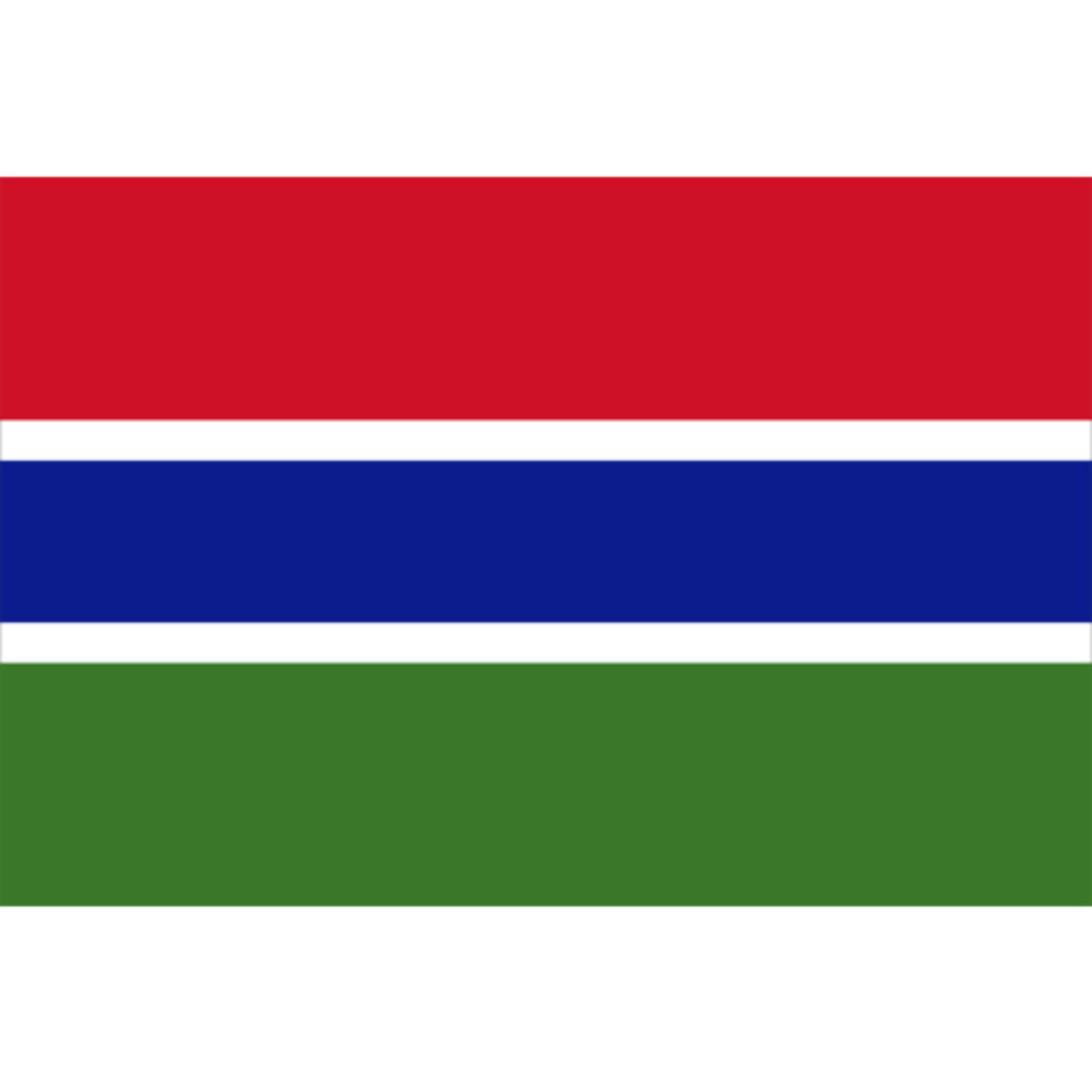 Gambia team logo