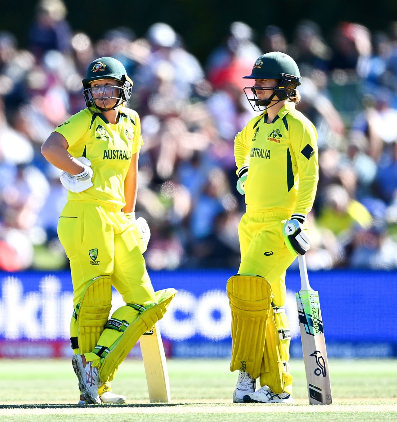 Alyssa Healy and Rachael Haynes got Australia off to a strong start, Australia vs England, Women's World Cup 2022 final, Christchurch, April 3, 2022
