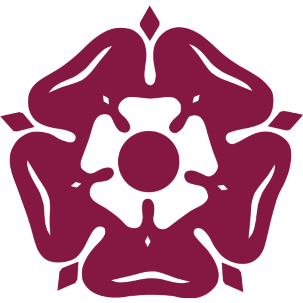 Northamptonshire team logo