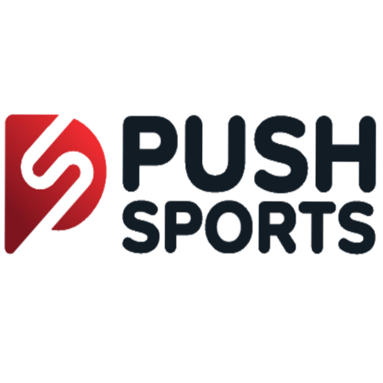 Push Sports Delhi team logo